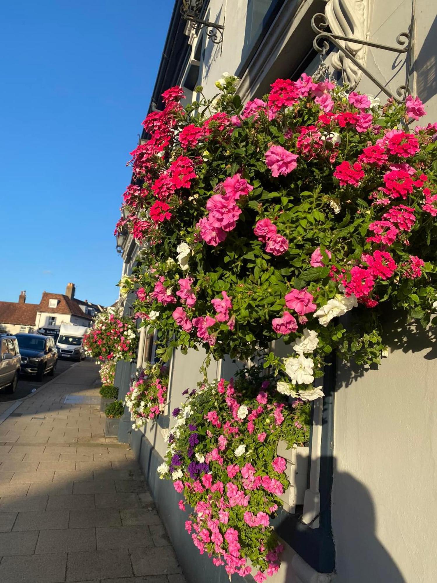 The Swan Hotel, Alresford New Alresford Exterior foto